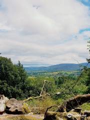 Slieve Gullion Forest Park