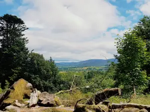 Slieve Gullion Forest Park