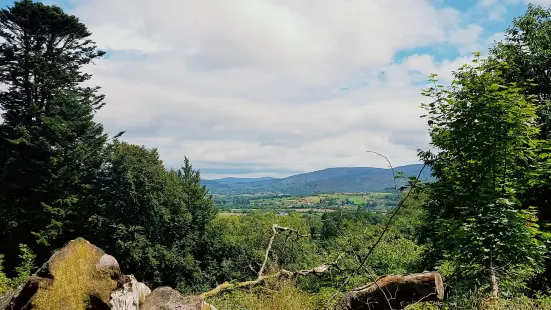 Slieve Gullion Forest Park