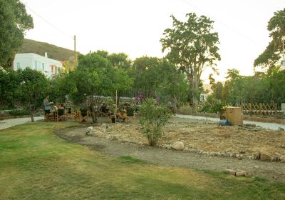 Amorgos Botanical Park