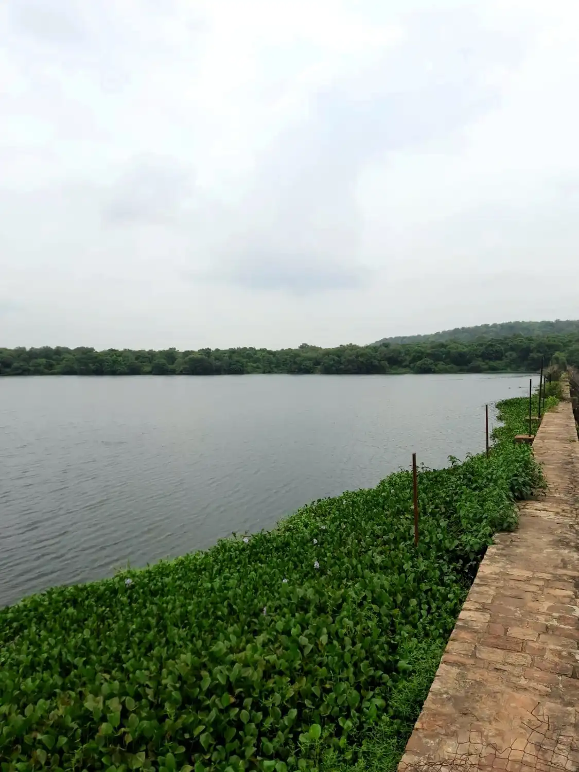 Hotels near Sakhya Sagar Lake