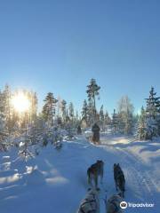 Arctic Husky Adventures