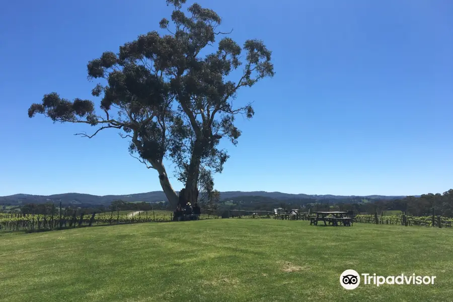 Nepenthe Cellar Door