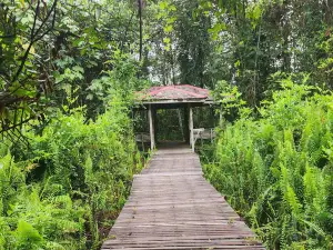 Bukit Lima Forest Park