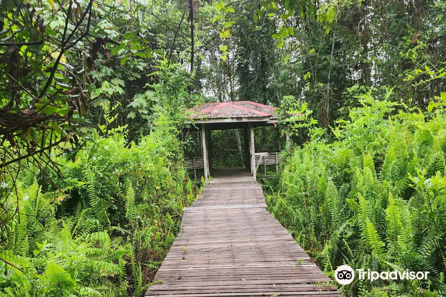 Bukit Lima Forest Park