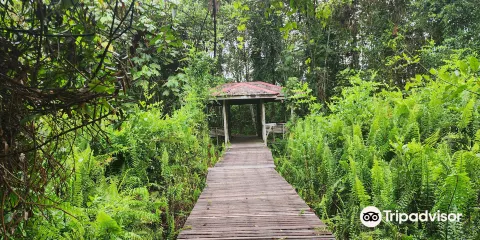Bukit Lima Forest Park