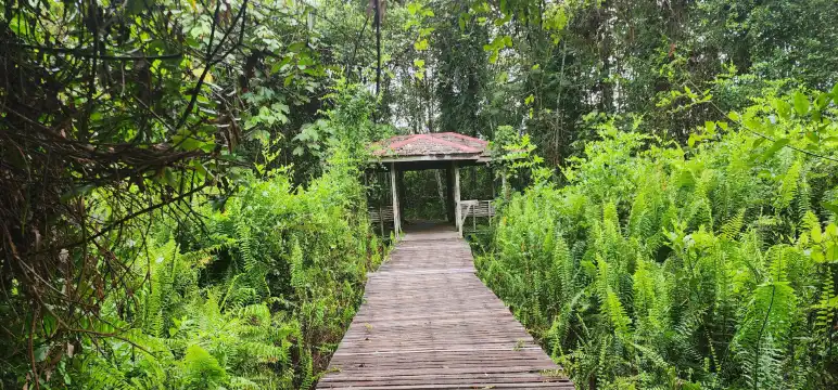 Hotel berhampiran Bukit Lima Forest Park