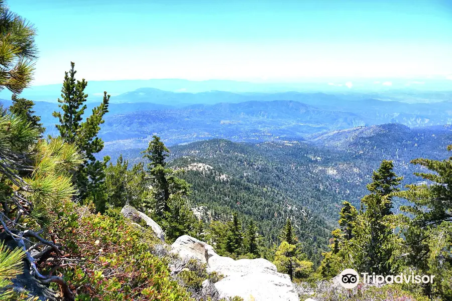 Mount San Jacinto State Park and Wilderness