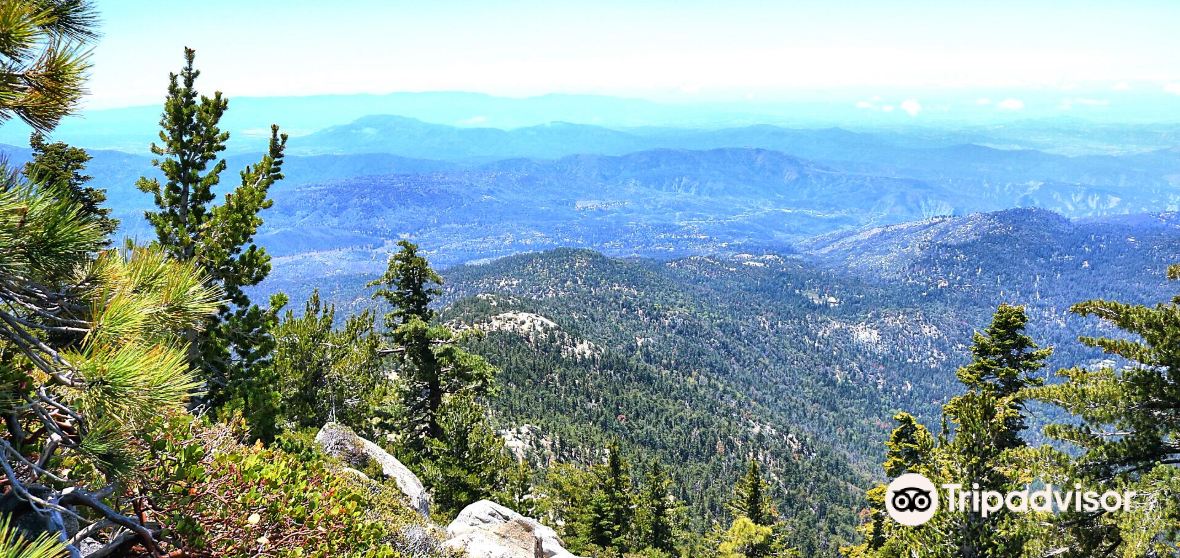 Idyllwild Travel Guide 2026: Top Attractions, Things to Do & Deals