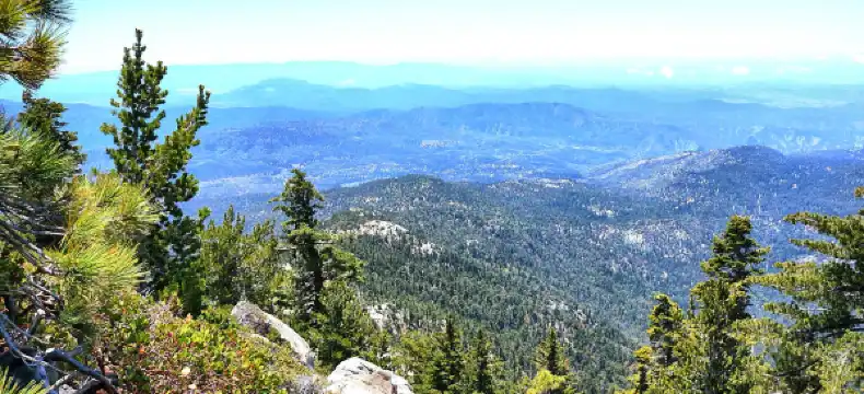 Idyllwild