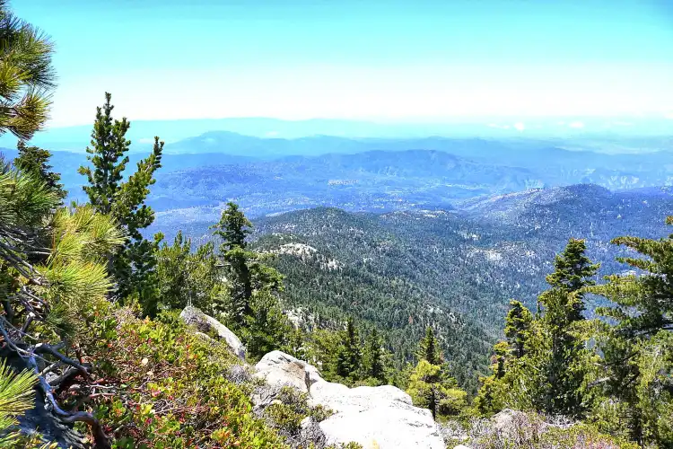 Hotels in Idyllwild