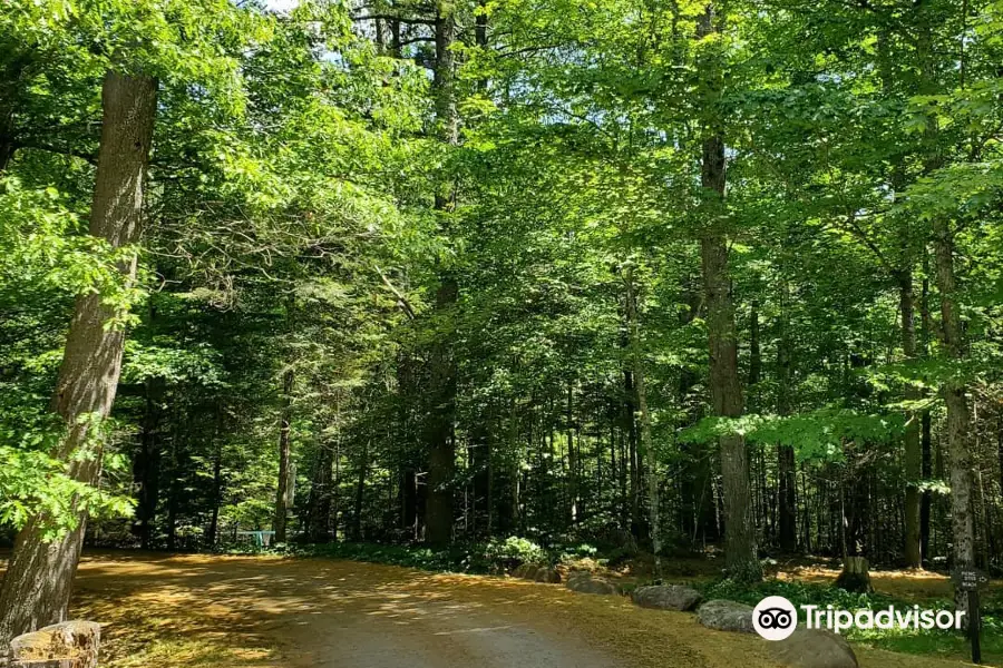 Swan Lake State Park