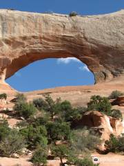 Road to Needles District