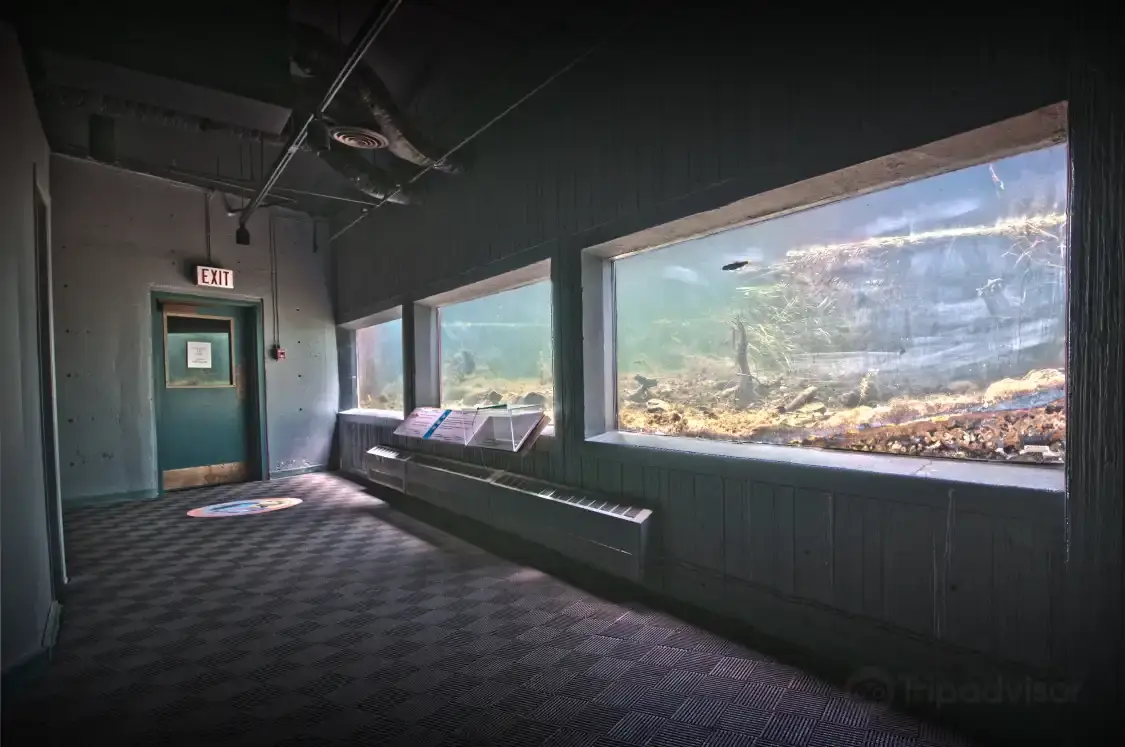Hotel in zona Suncor Energy Fluvarium