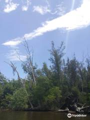 St. Lucie Inlet