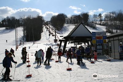 Ski Bradford