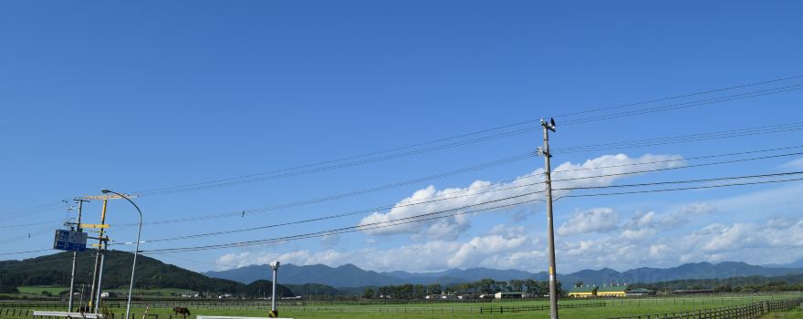 Michi-no-Eki (Roadside Station) Mitsuishi