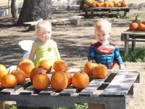 Devine Acres Farm
