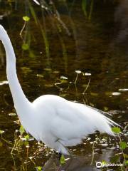 Orlando Wetlands Park