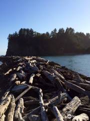 La Push Beach