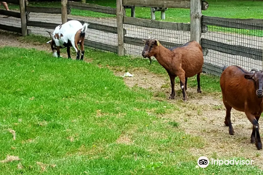 ムーラン・ア・タン公園