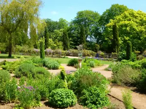 Parc Singleton Park