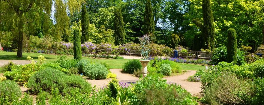 Parc Singleton Park