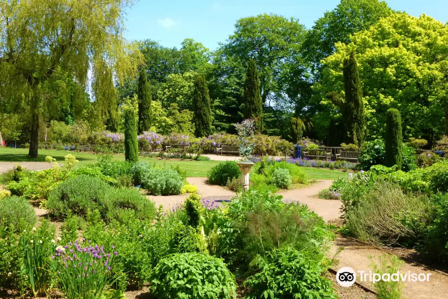 Parc Singleton Park