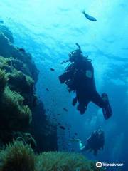 Blue Guru Dive Centre