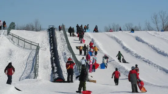 Michel-Chartrand Park