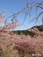 Municipal Mr.Zuiken Kawamura Memorial Park.