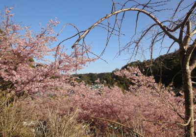 河村瑞賢公園