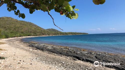 Tamarindo Beach