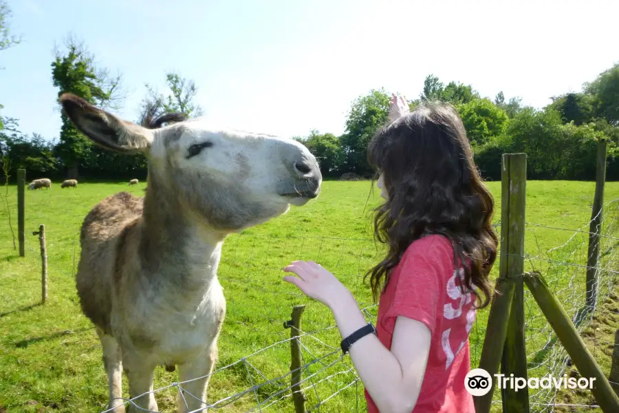 La Colline Aux Animaux