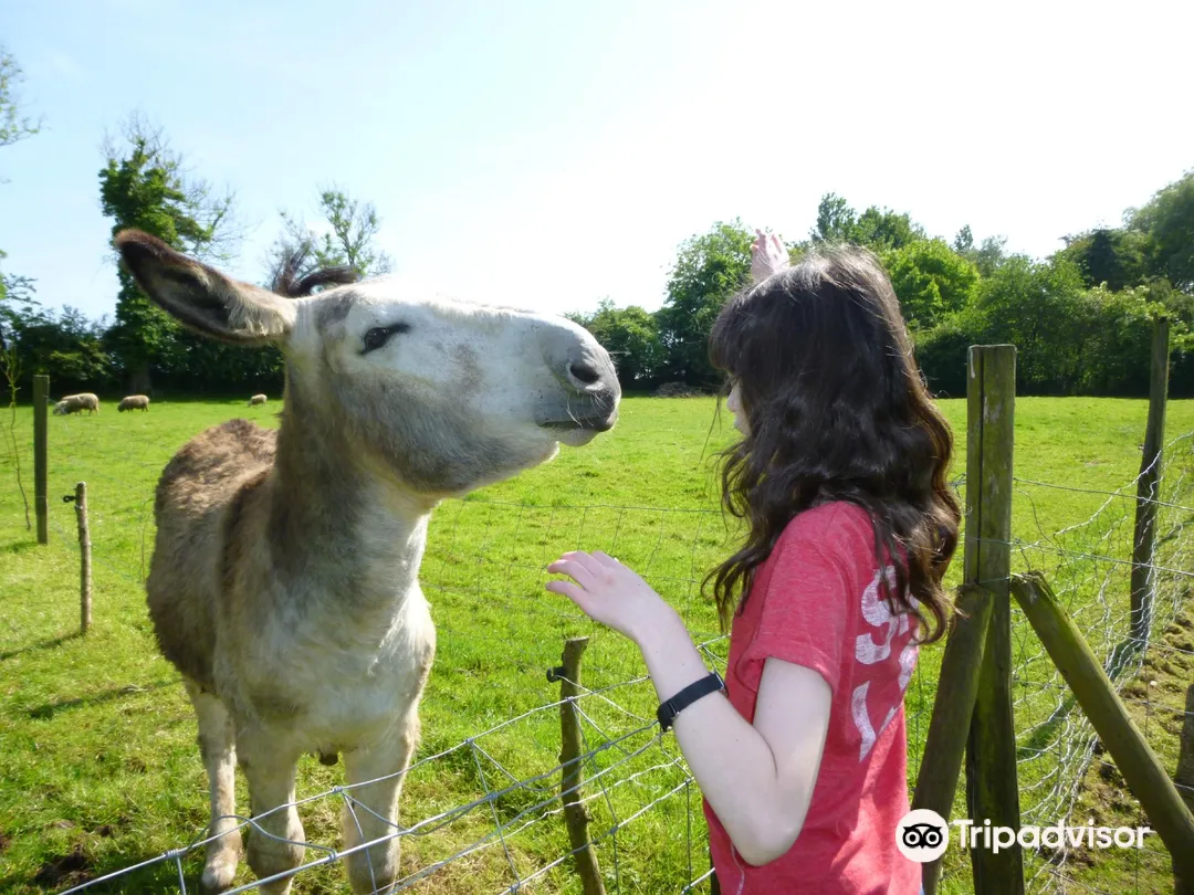 1_La Colline Aux Animaux