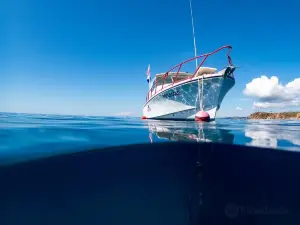 Red Hook Dive Center