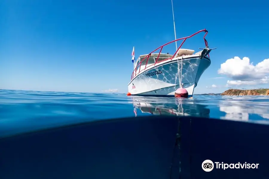 Red Hook Dive Center