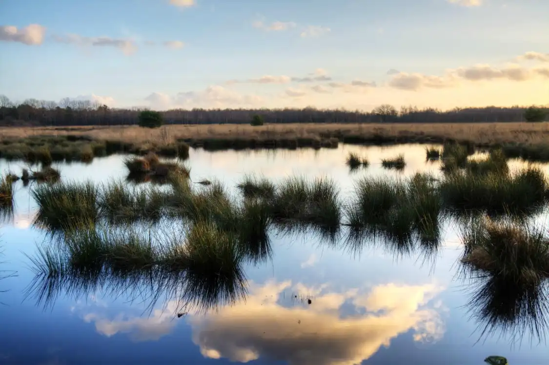 Hotels near Emsdettener Venn