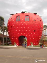 Municipal park De Bom Principio