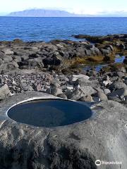 Seltjarnarnes Peninsula Jogging Path