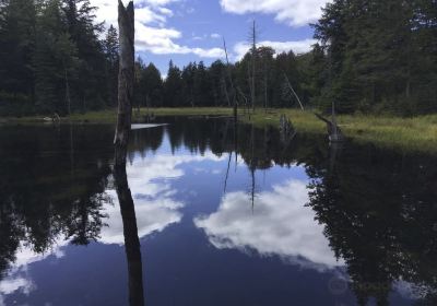 Western Uplands Backpacking Trail