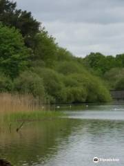 Chard Reservoir (disused)