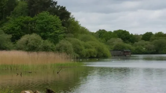 Chard Reservoir (disused)