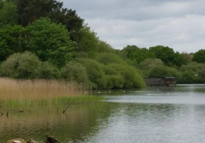 Chard Reservoir (disused)