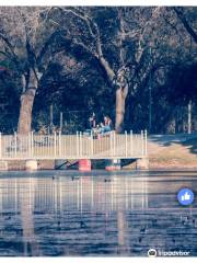 Lago Villa Dalcar