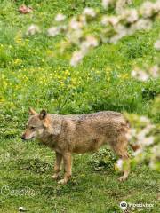 Centro Visita di Civitella Alfedena