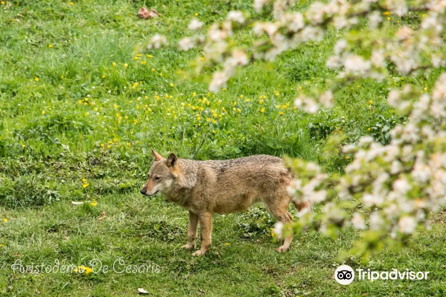 Centro Visita di Civitella Alfedena