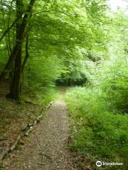 Sergeant York Historic Trail