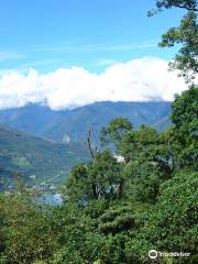 鯉魚山步道