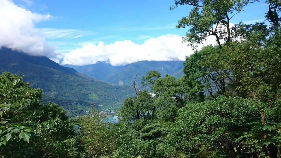 Отели рядом с достопримечательностью «Carp Mountain Trail»